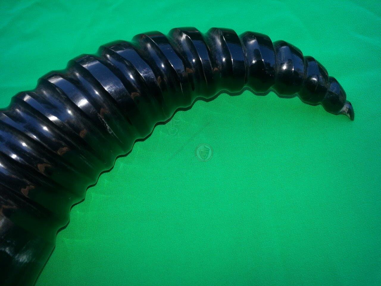 Drinking Horn - brass tribal pattern fittings
